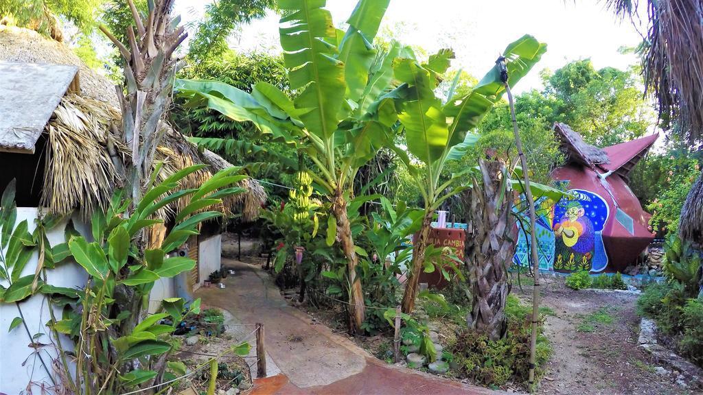 La Casa De Los Ninos Del Arbol Hotel Bacalar Buitenkant foto